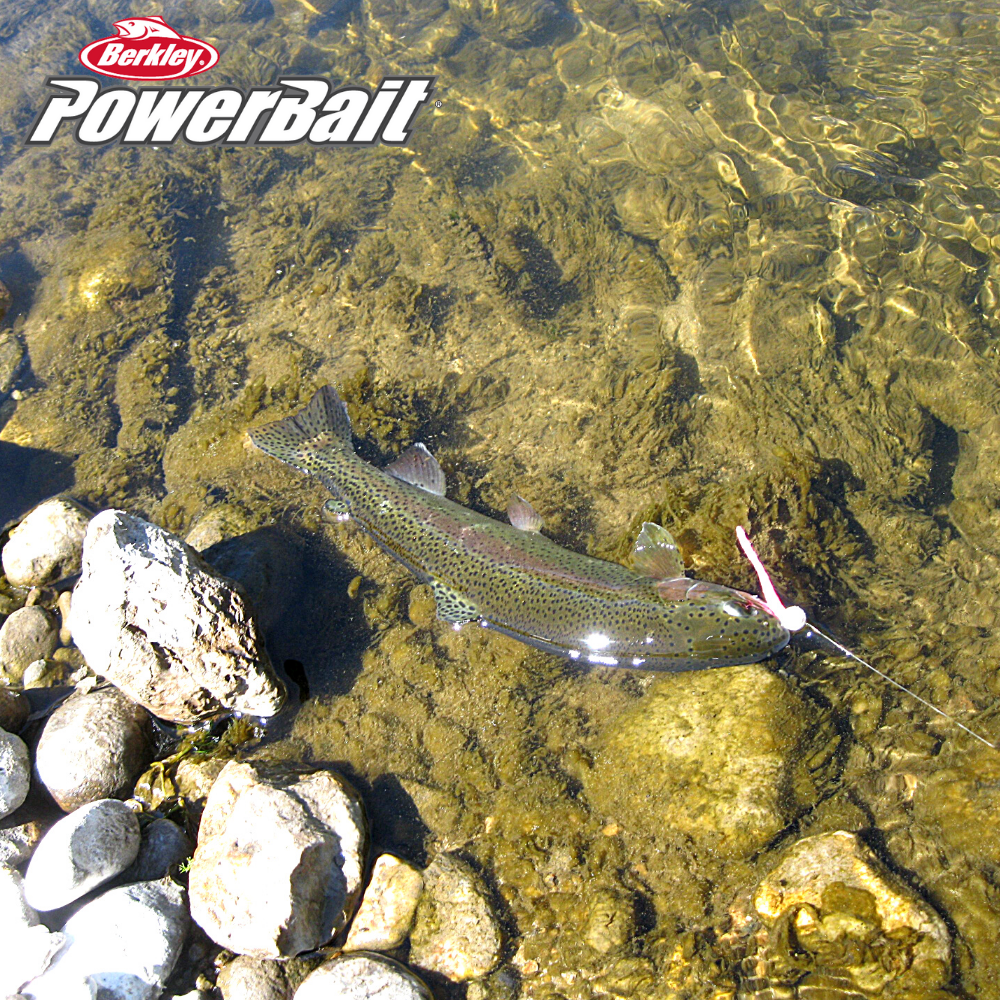 Using / Rigging Powerbait Power Bait Mice Tail Worms for Trout
